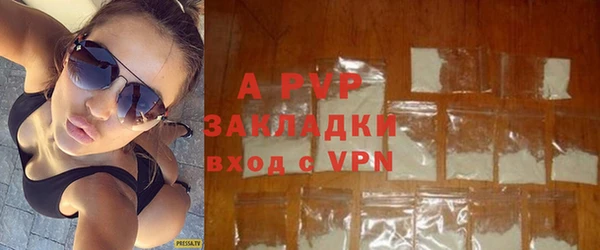 стаф Нефтегорск