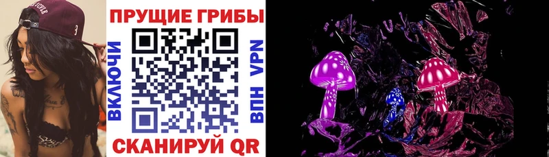 Псилоцибиновые грибы Cubensis  Порхов 